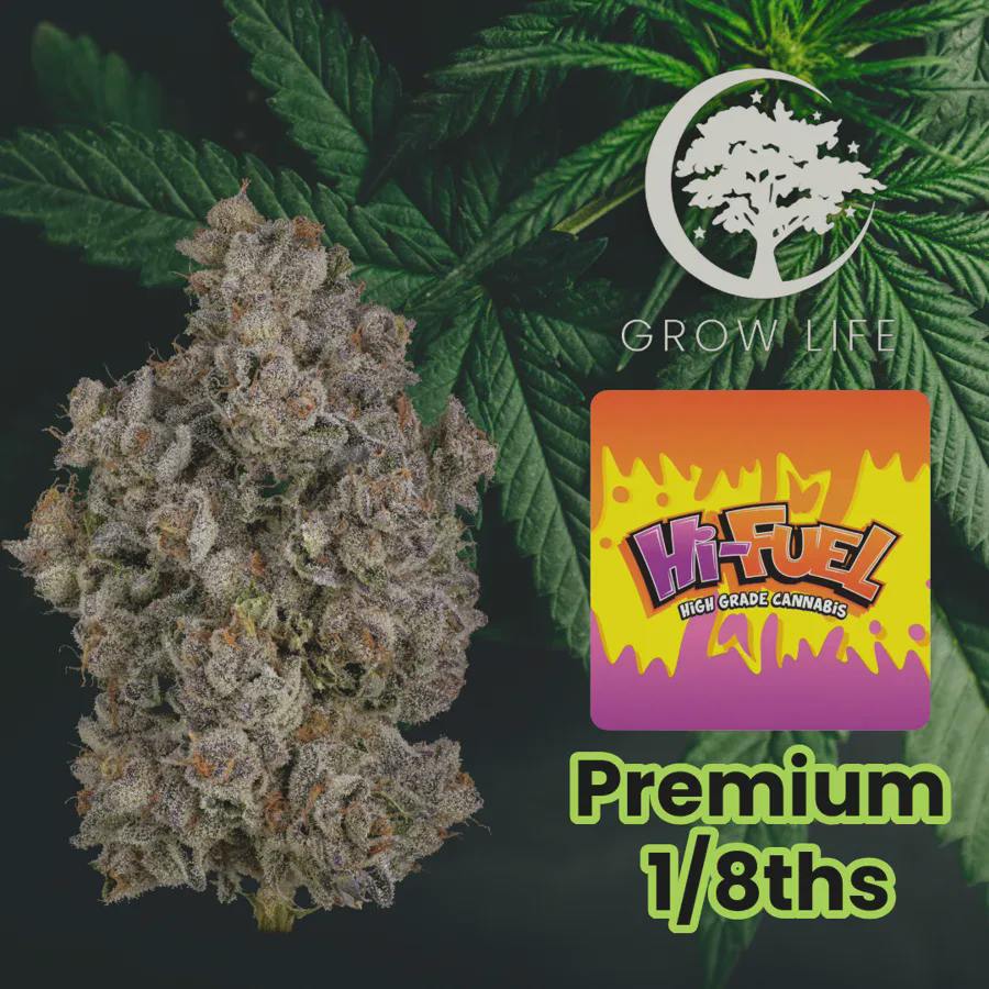Kamp Krystal Lake | Big Buds | 3.5g