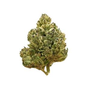 Razzmic Rainbow | Smalls | 1g at Sunkissed Farm Dispensary