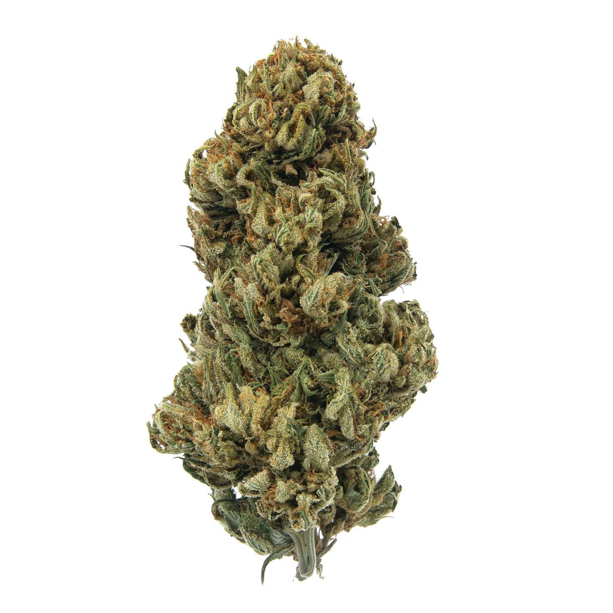 Chemodo Dragon | Smalls | 28g