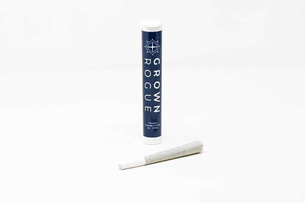 Orange Gummi | Joints | 1g