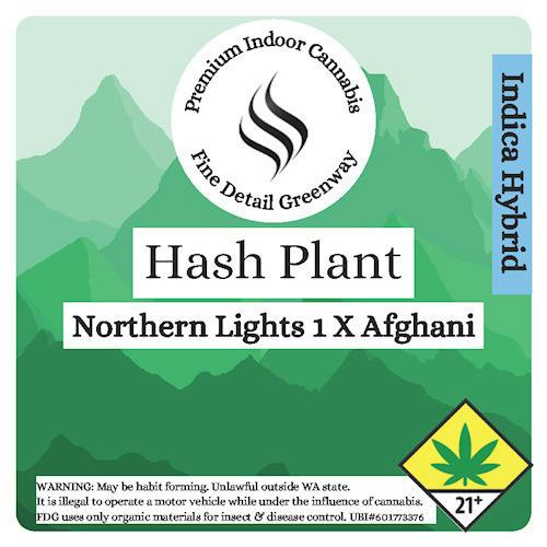 Hash Plant | Joints | 0.5g | 14pk