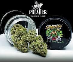 517 private reserve | Big Buds | 3.5g