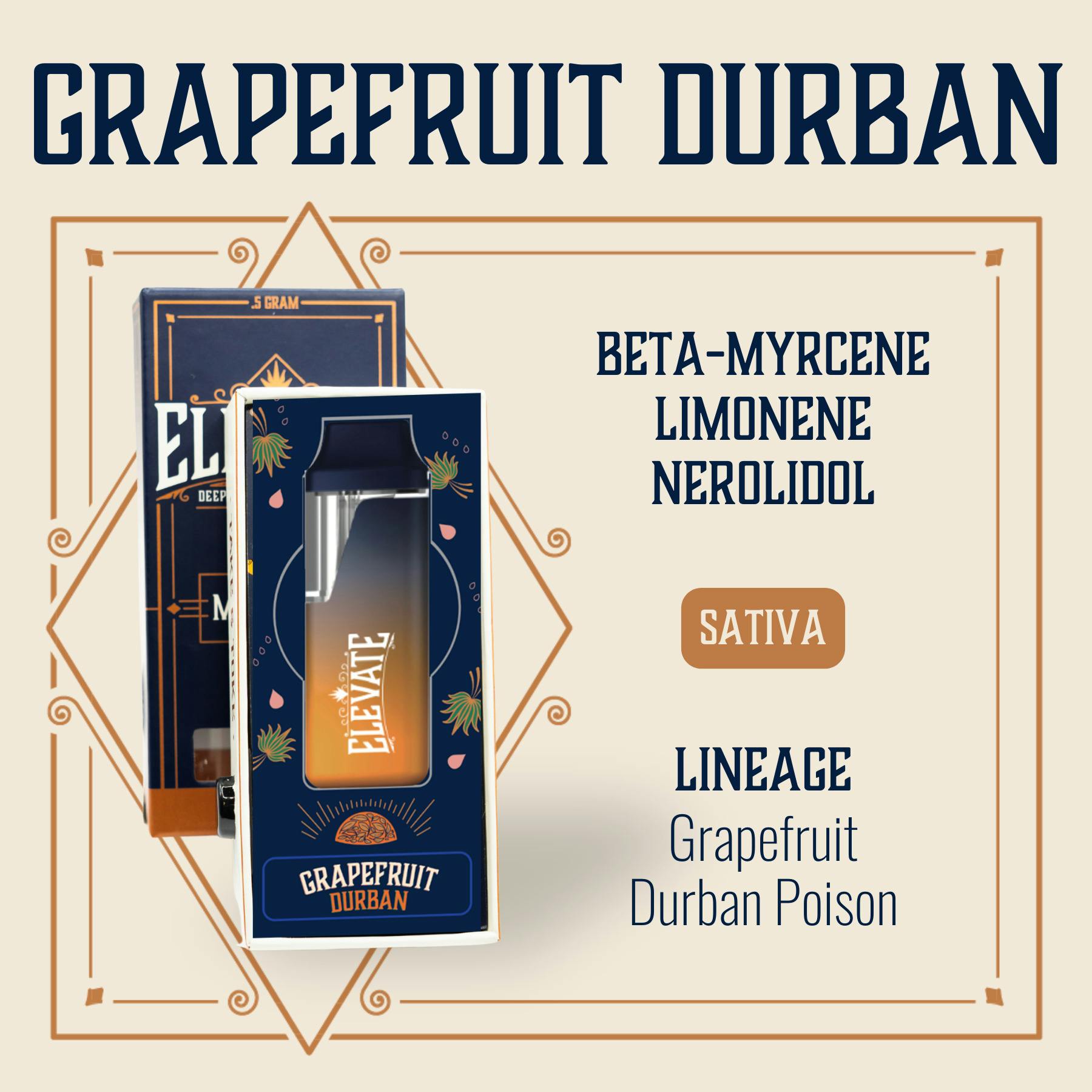 Grapefruit Durban | Disposable | 0.5g at Codes Dispensary Sedalia