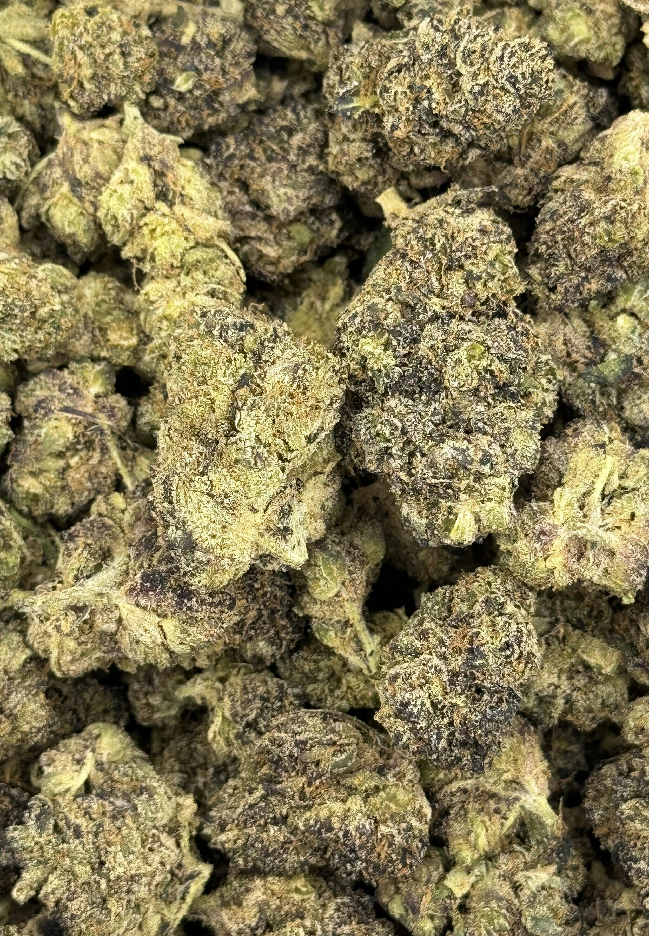 Sherbacio | Big Buds | 1g by Deli