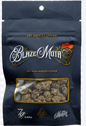 Blaze Mota: Zebra Ztripez #6