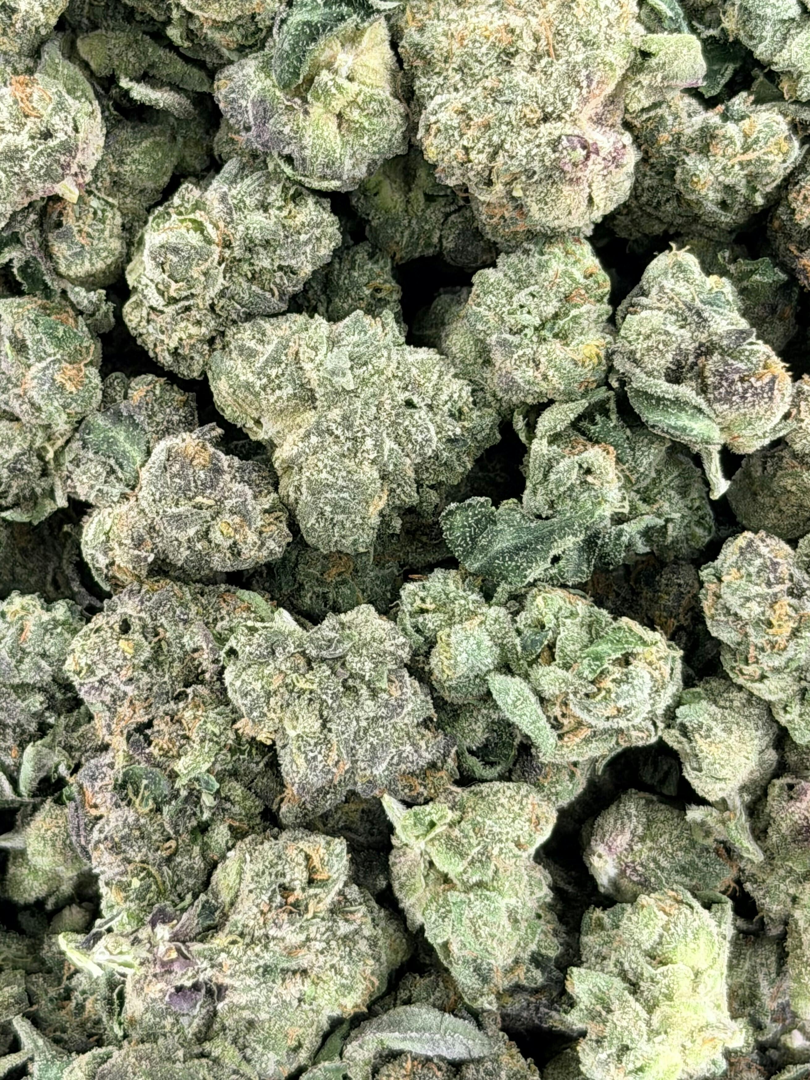 Rock N Rye | Big Buds | 1g by Deli