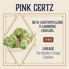 Pink Certz | Big Buds | 3.5g by Elevate