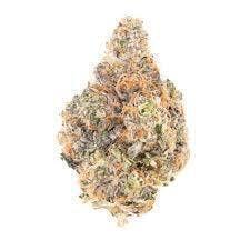 Rancid Rainbow | Big Buds | 3.5g