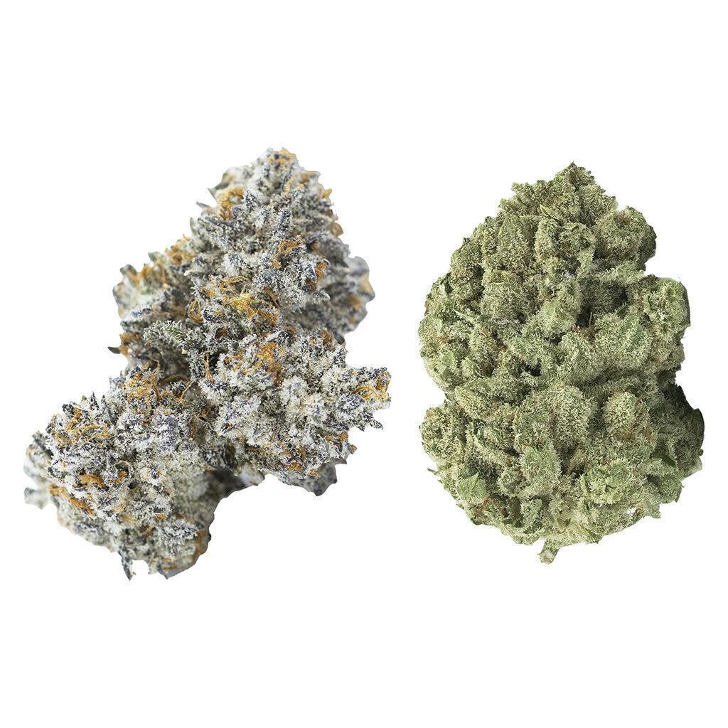 Gold Ca$h Gold & Pure Michigan | Big Buds | 7g