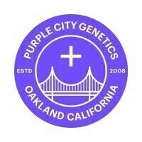 Miracle Candy - 6pk - Feminized Seeds - Purple City Genetics | Seeds