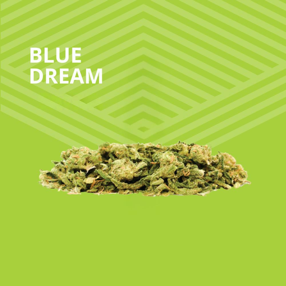 Blue Dream | Ground | 3.54g by Pure Dakota