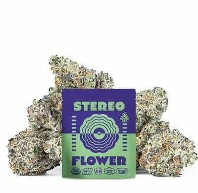 Black Cherry Sorbet: Big Buds - 3.5g