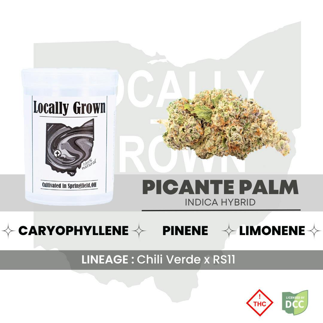Picante Palm | Big Buds | 2.83g at Pure Ohio Wellness