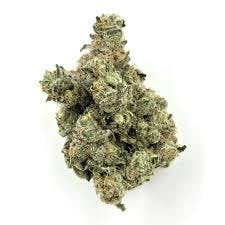 Gelato 41 | Big Buds | 3.5g