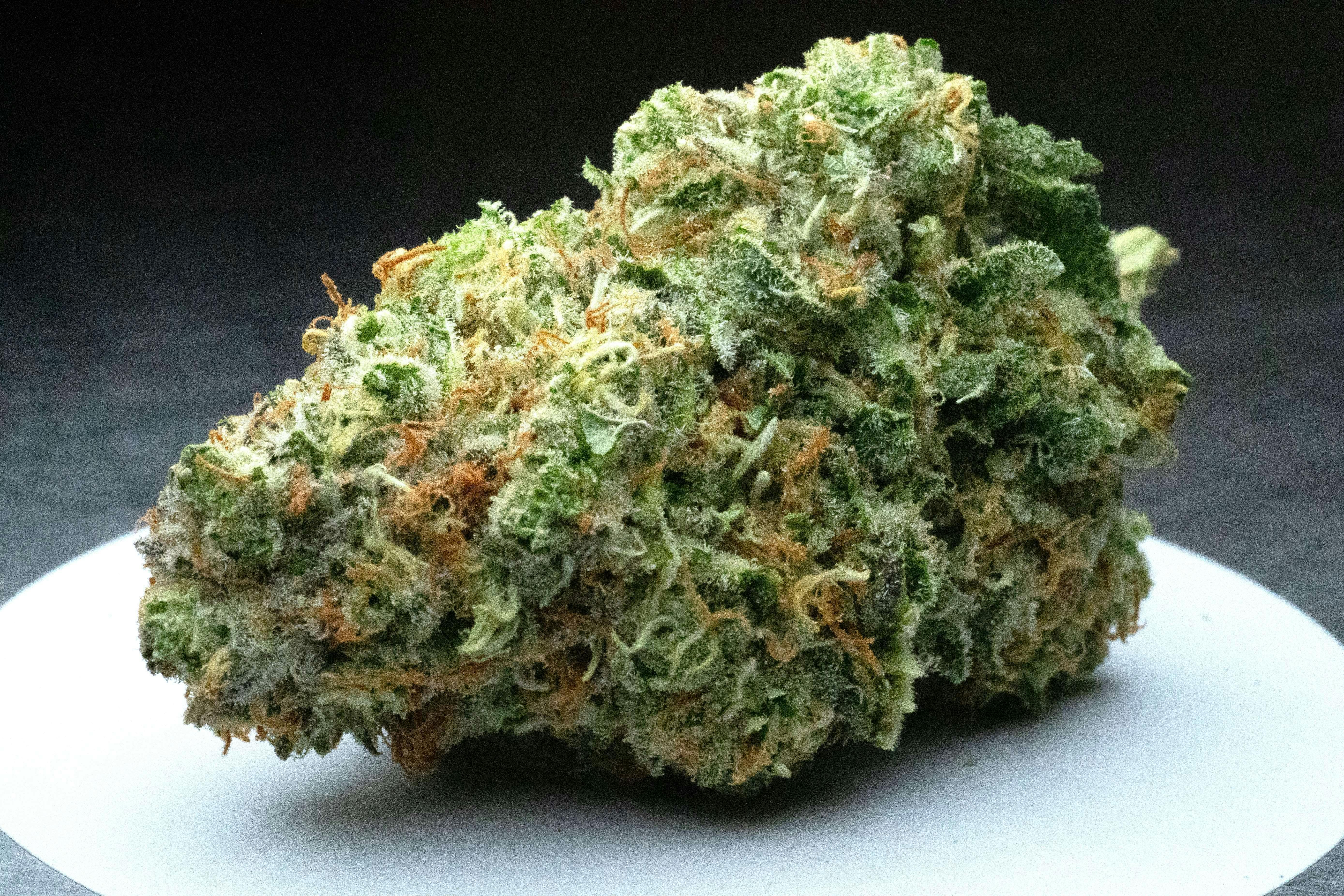 Blackwater | Smalls | 3.5g by Natural State Medicinals