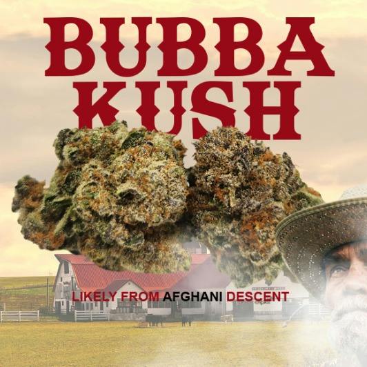 Bubba Kush | Big Buds | 1g at Happy Trees
