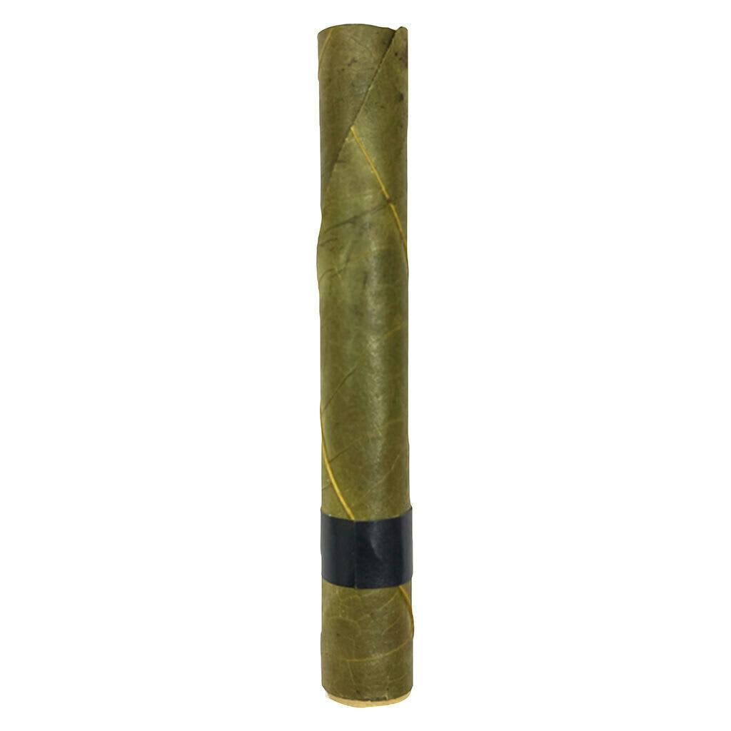 Pablo's Infused Blunt | Infused Blunts | 2g