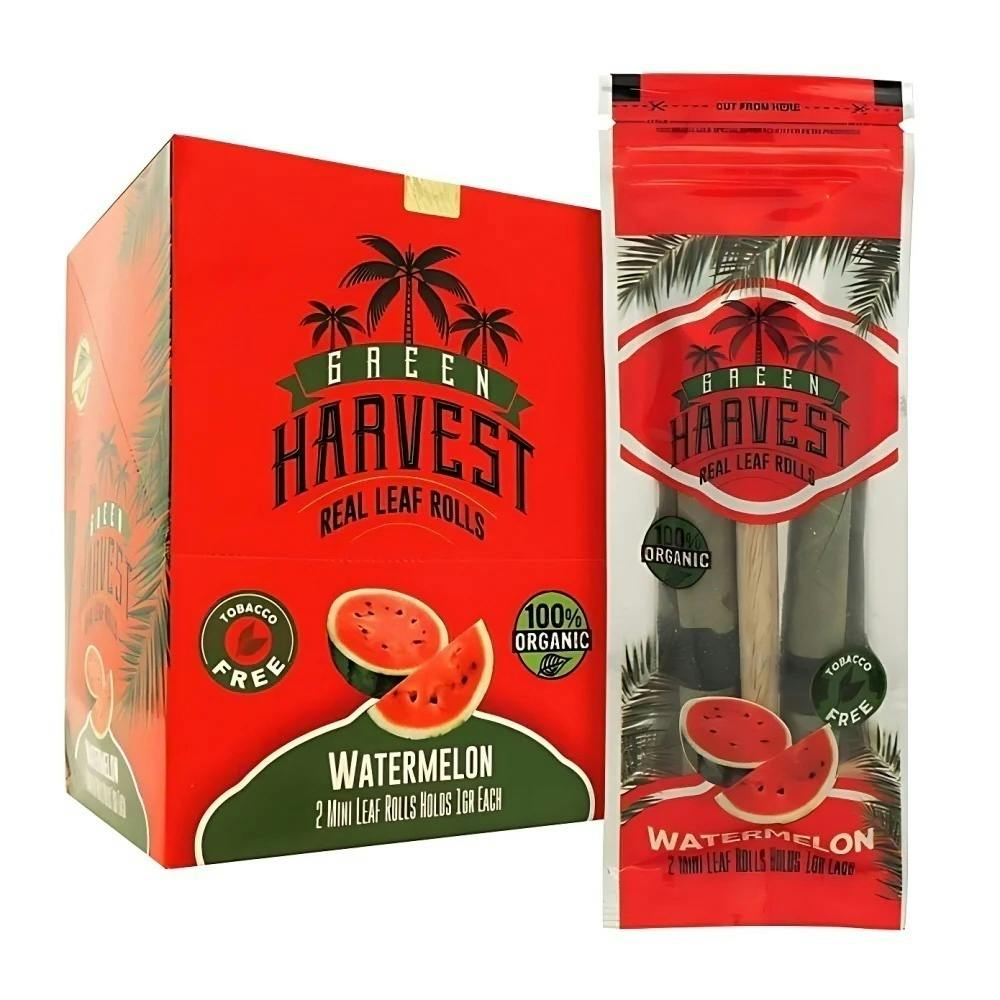 Mini Leaf - Watermelon | Accessories