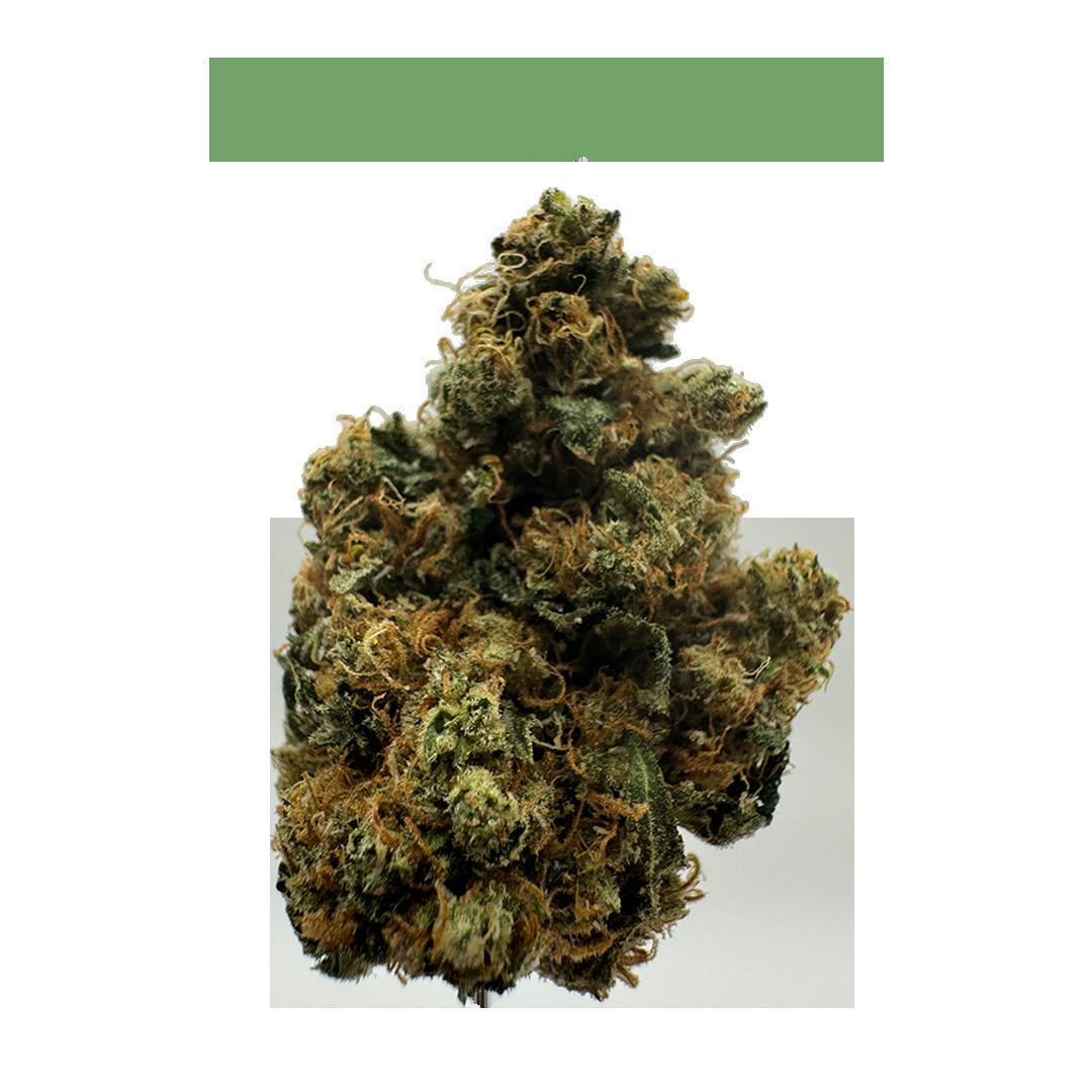 Sour Diesel GMO | Big Buds | 3.5g by GrowHealthy