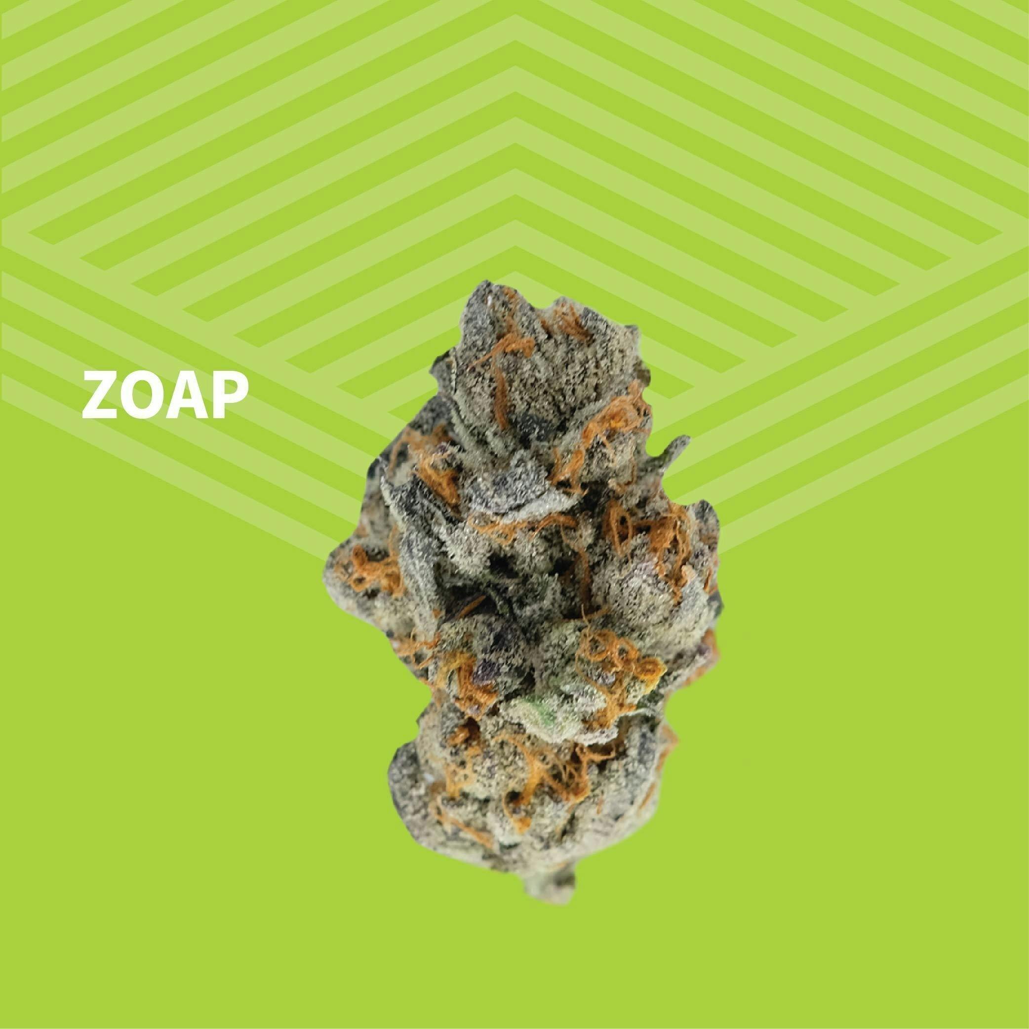 Zoap | Big Buds | 1g