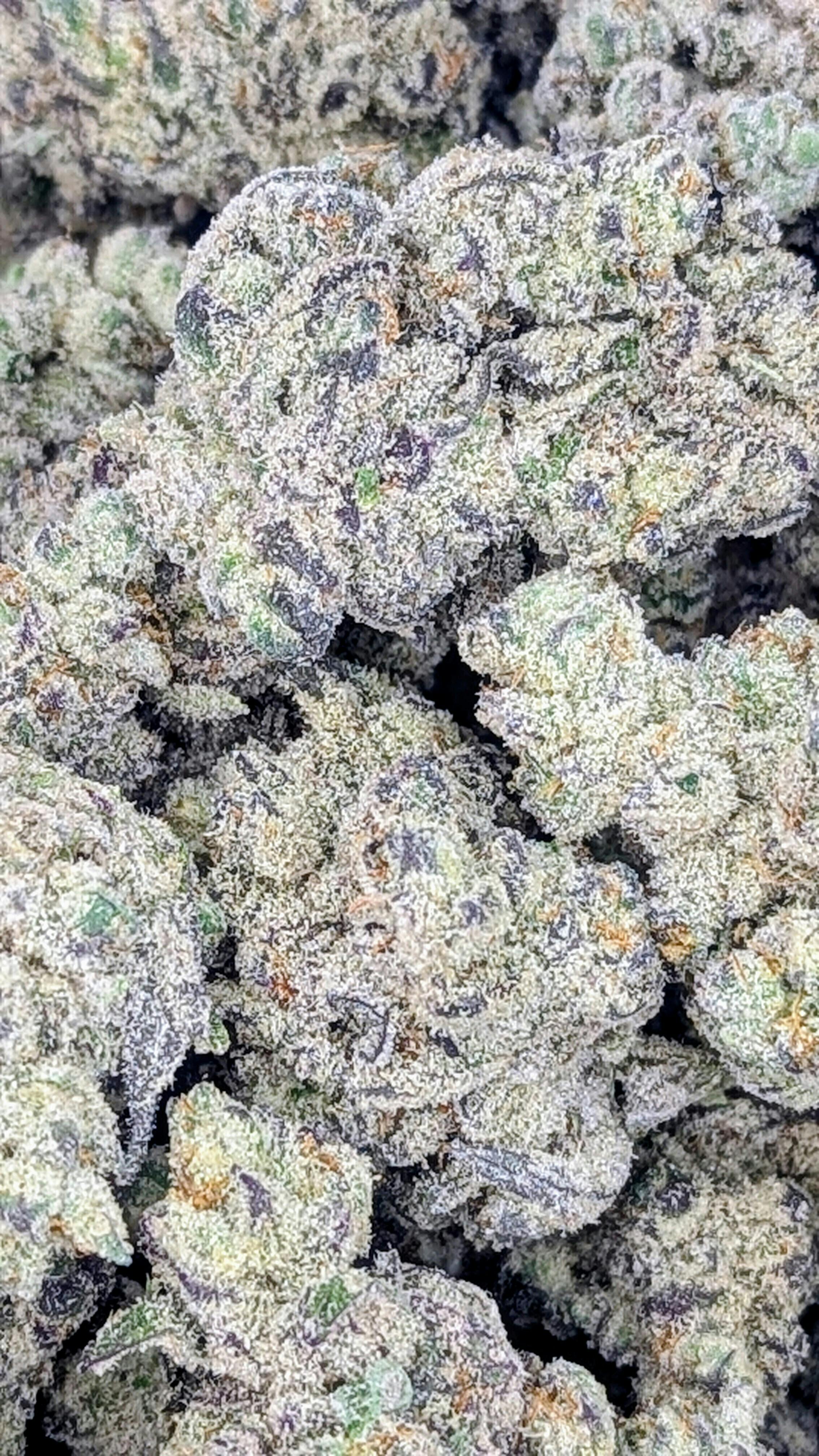 Pineapple Zkittles | Big Buds | 1g