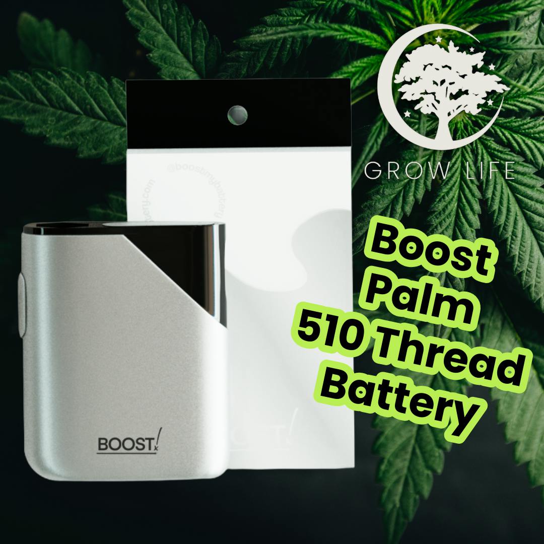 Palm Battery Silver | Batteries