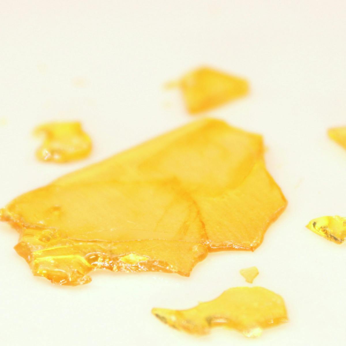 Grape Solo Burger | Solvent | Shatter | 1g at High Roller Cannabis Club