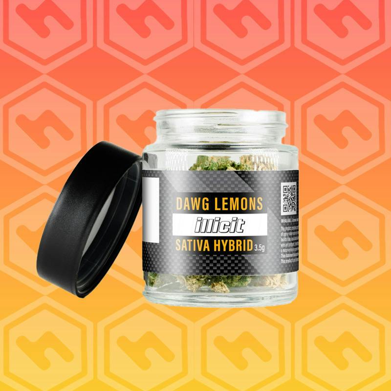 Dawg Lemons (Illicit) | Big Buds | 3.5g