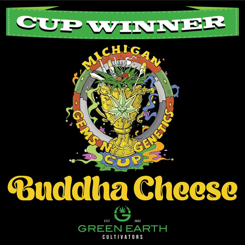 Buddha Cheese | Big Buds | 1g