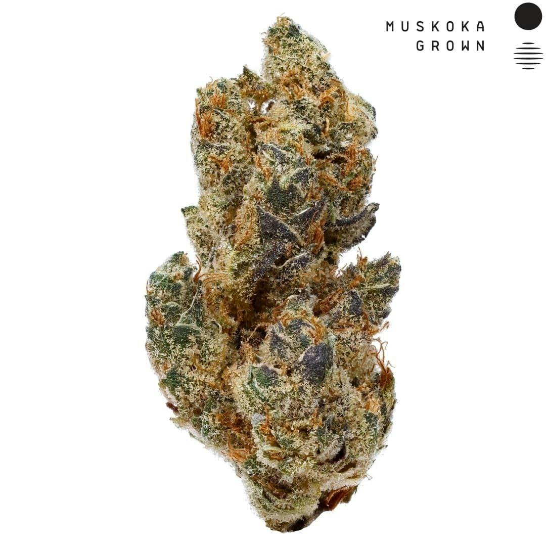 The Switch Up | Big Buds | 28g