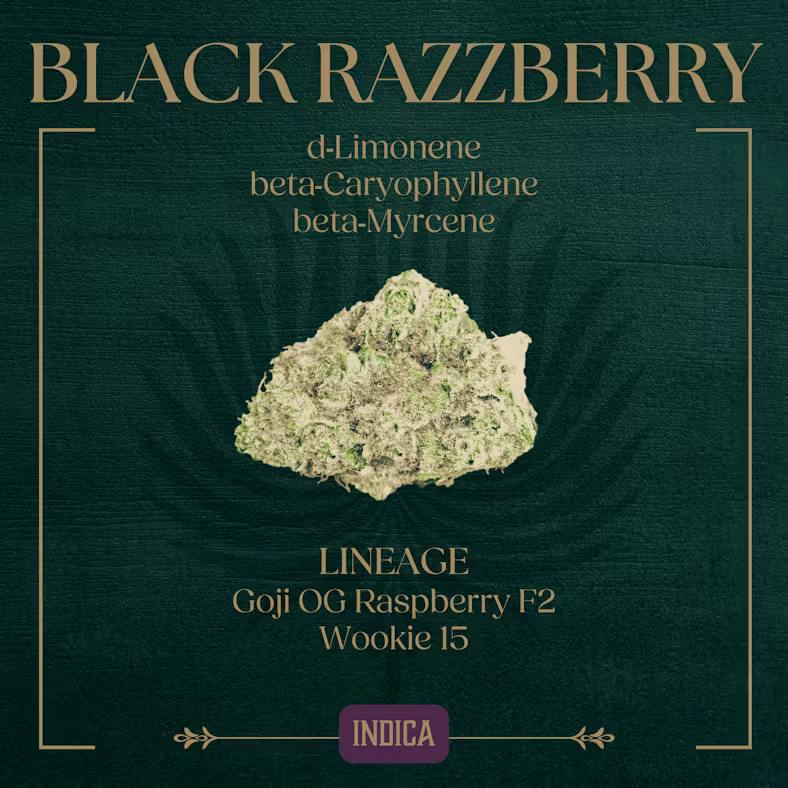 Black Razzberry | Big Buds | 3.5g