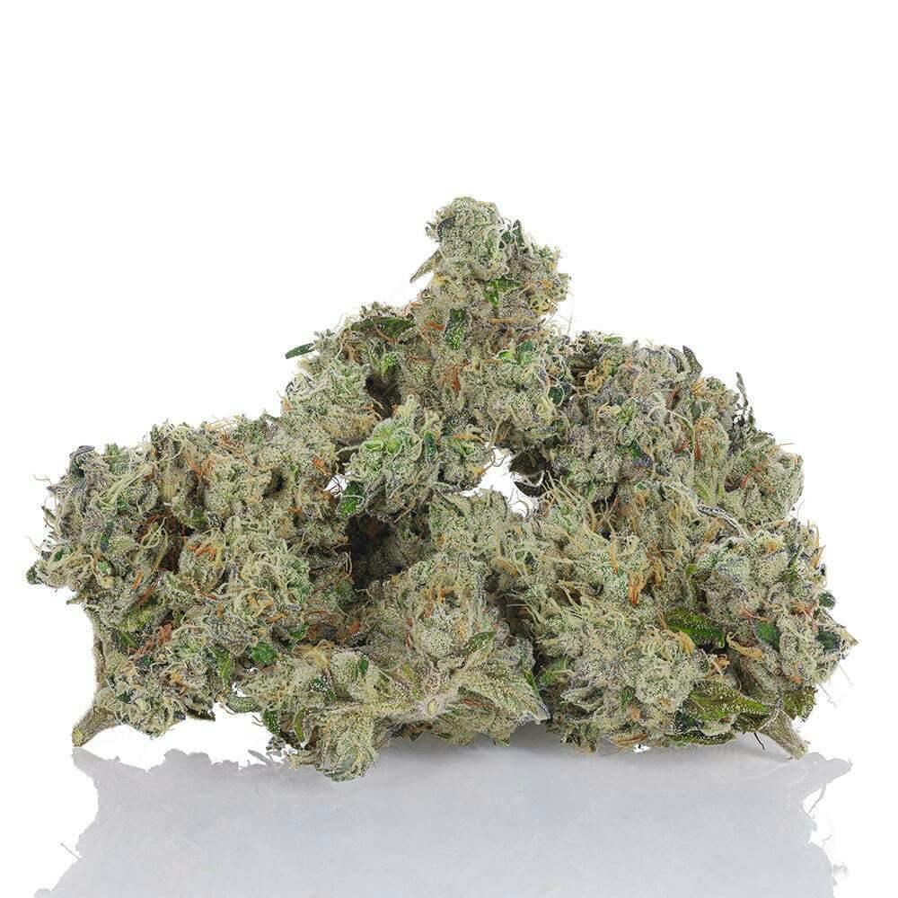 702 Headband | Big Buds | 3.5g