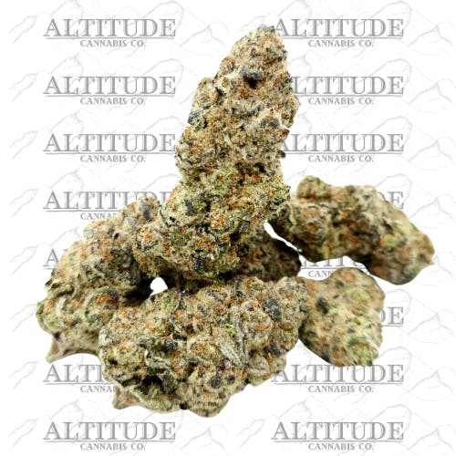 Slurricane | Big Buds | 1g
