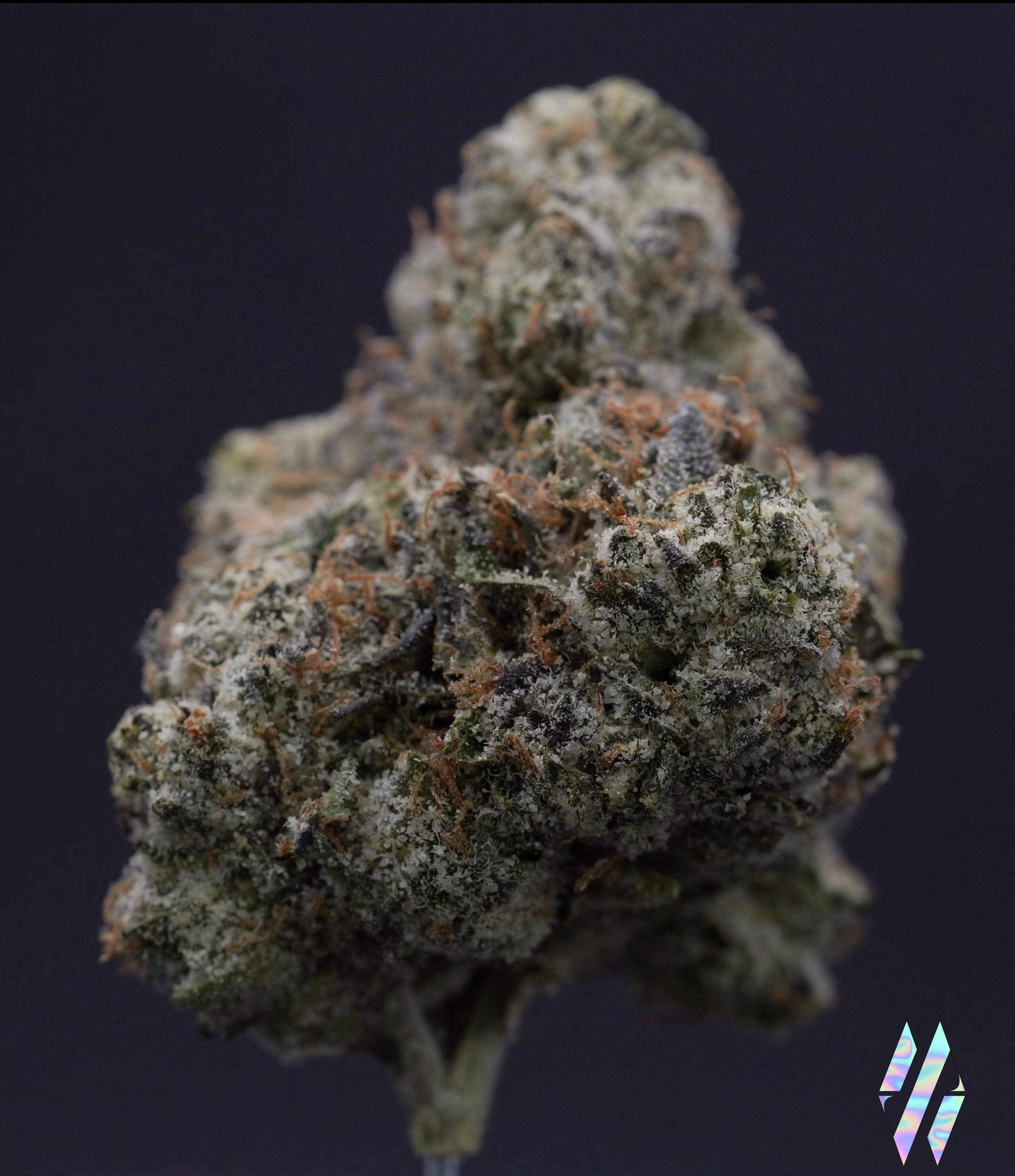 Nino Brown | Big Buds | 3.5g