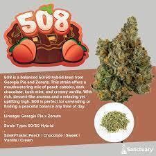 508 | Big Buds | 3.5g by Sanctuary Medicinals