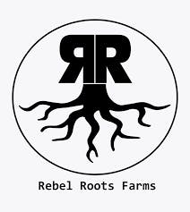 Therapeutics | RSO at Beaver Bowls Cannabis House