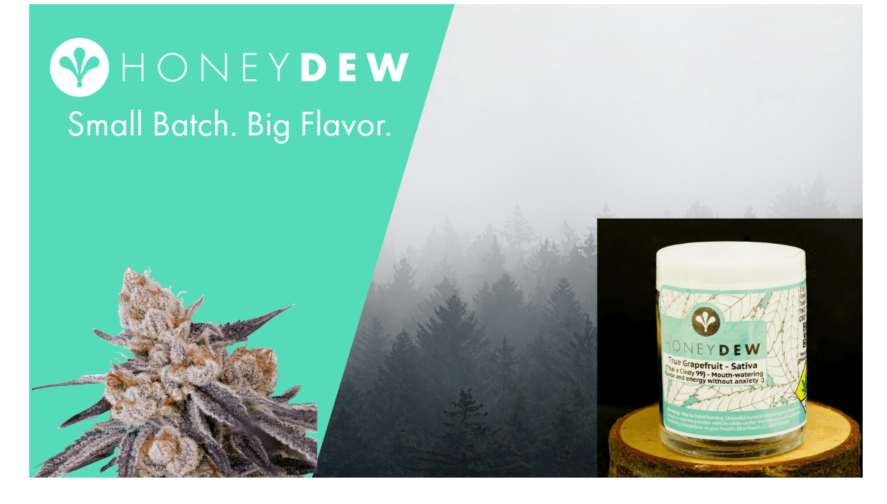 Dancing Queen | Big Buds | 1g by Honeydew