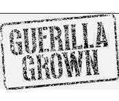 Say Less | Joints | 1g | 5pk by Guerilla Grown