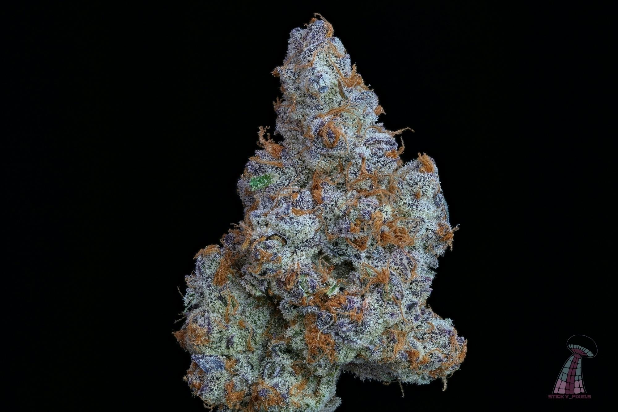 Punch Breath | Big Buds | 28g
