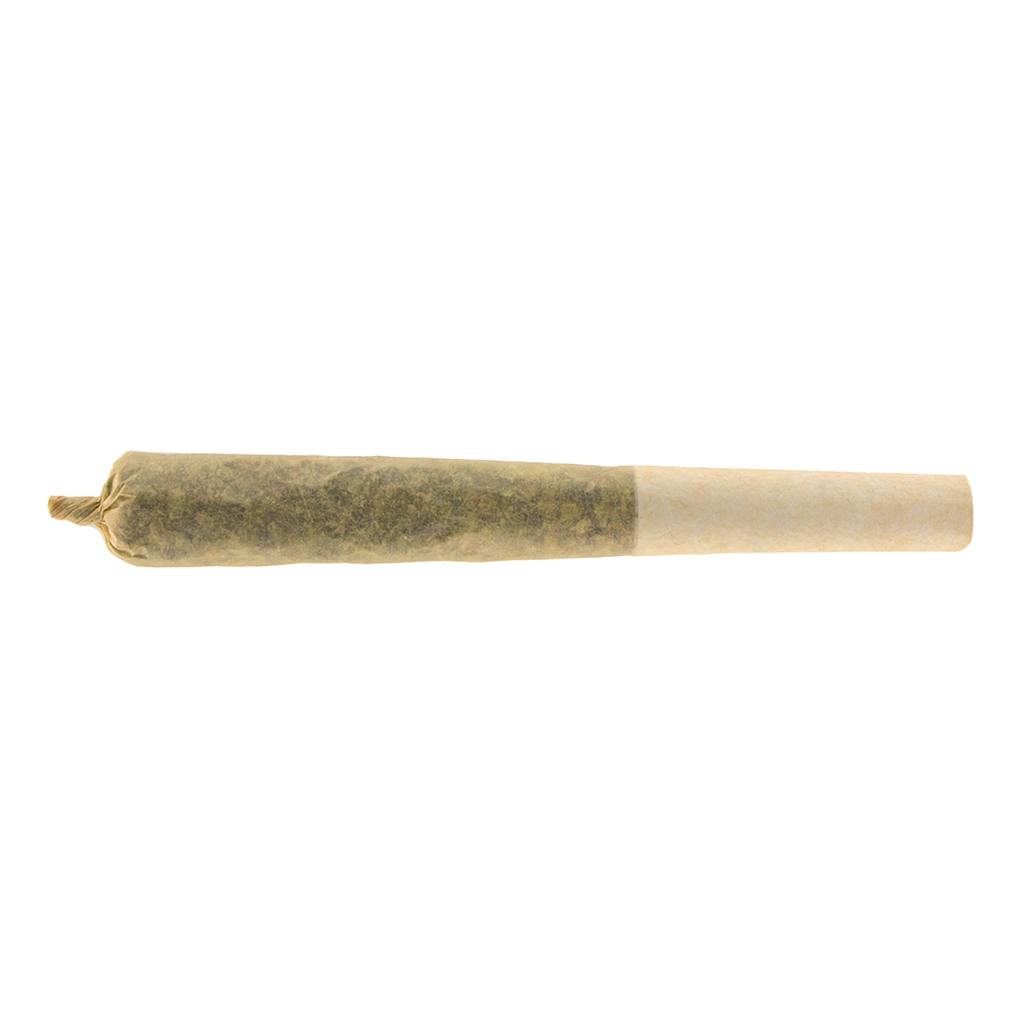 Charlotte's Angel | Minis | 0.5g | 3pk