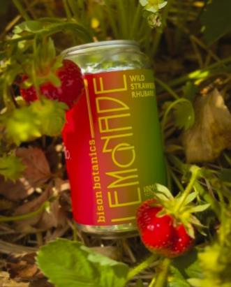 Strawberry Rhubarb Lemonade | Non-carbonated | 10mg | 355ml