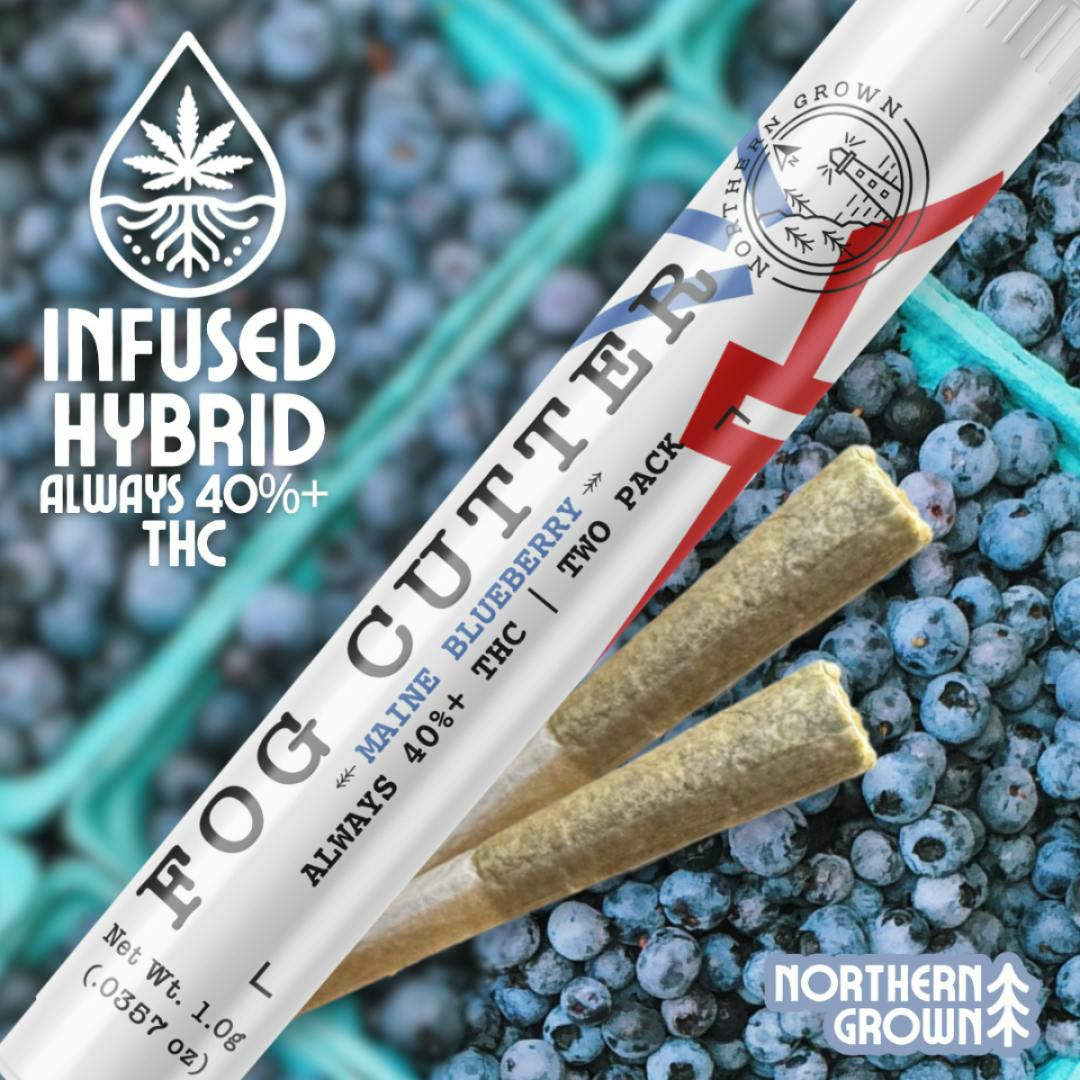 Maine Blueberry | Infused Minis | 0.5g | 2pk at Pettals Cannabis Dispensary - Charlton
