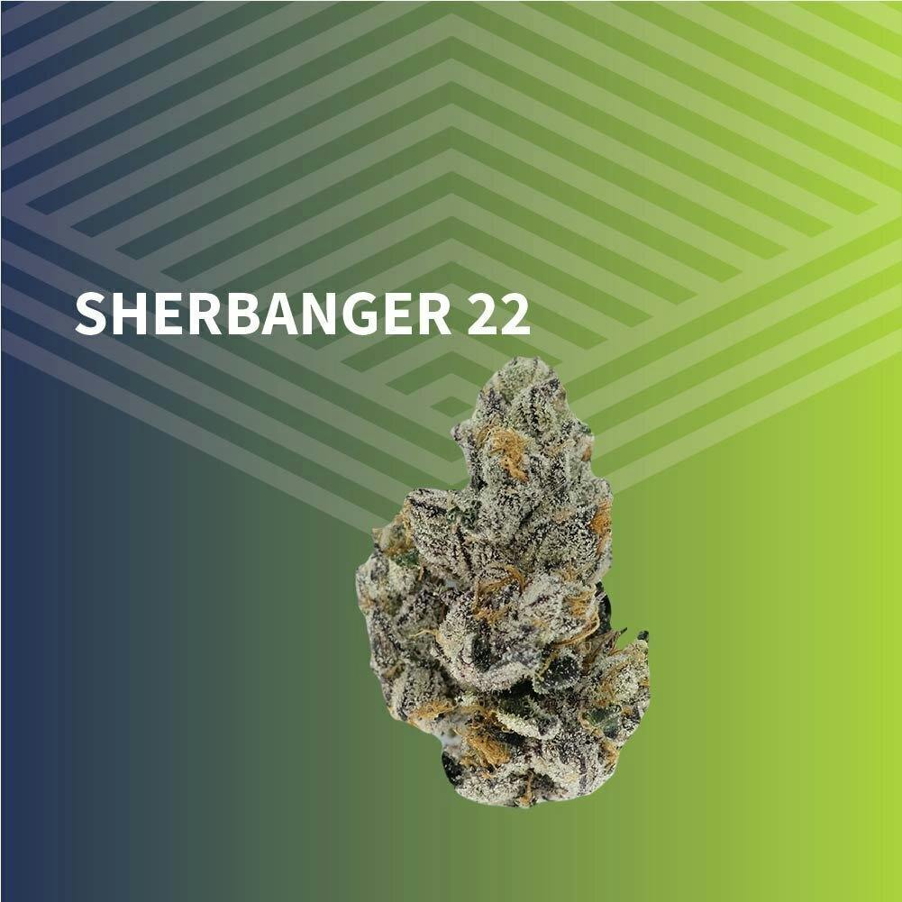 Sherbanger #22 | Big Buds | 1g at Pure Dakota Health Williston Dispensary