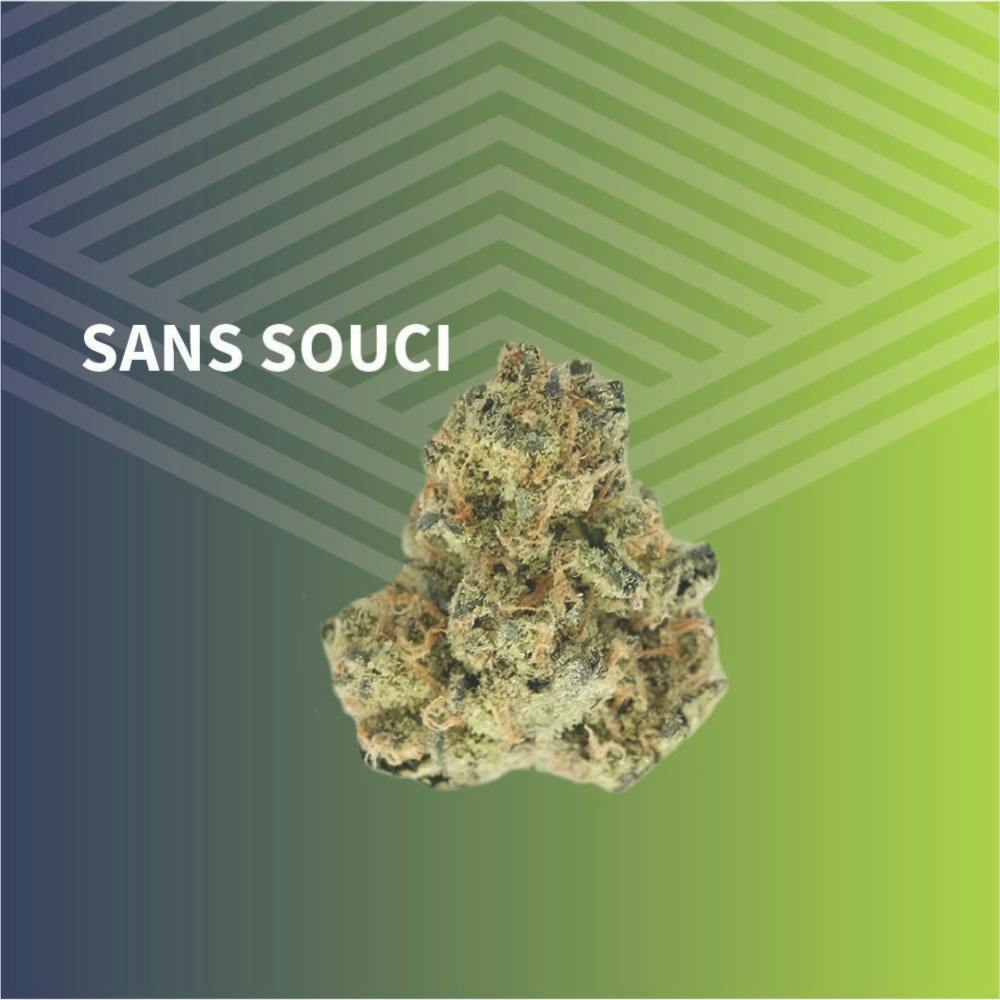 Sans Souci | Big Buds | 1g