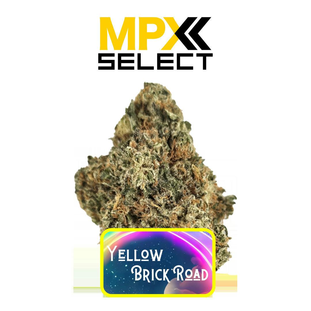 Yellow Brick Road | Big Buds | 3.5g by MPX (Melting Point Extracts)