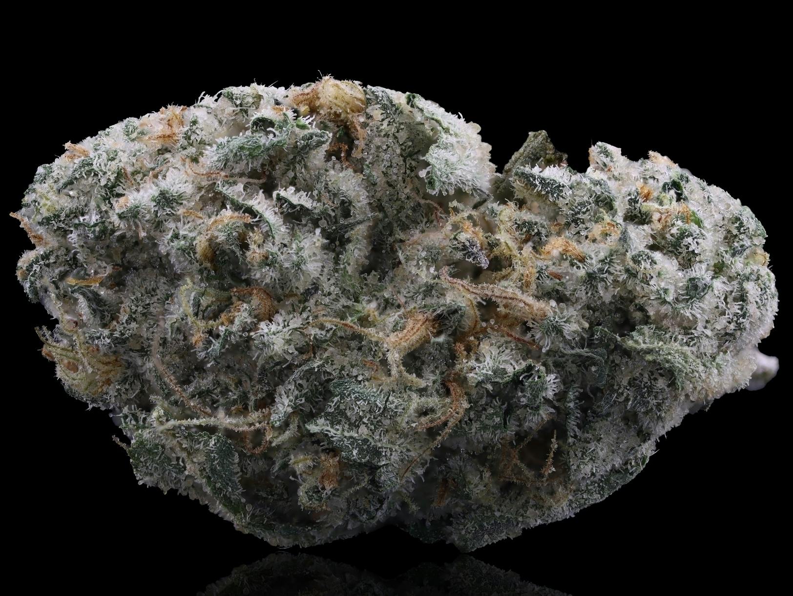 white iverson | Joints | 0.35g | 5pk by Kind Tree