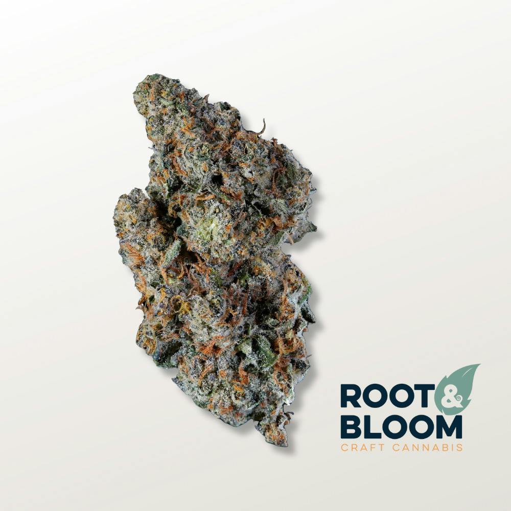 Tricheratrops | Big Buds | 3.5g