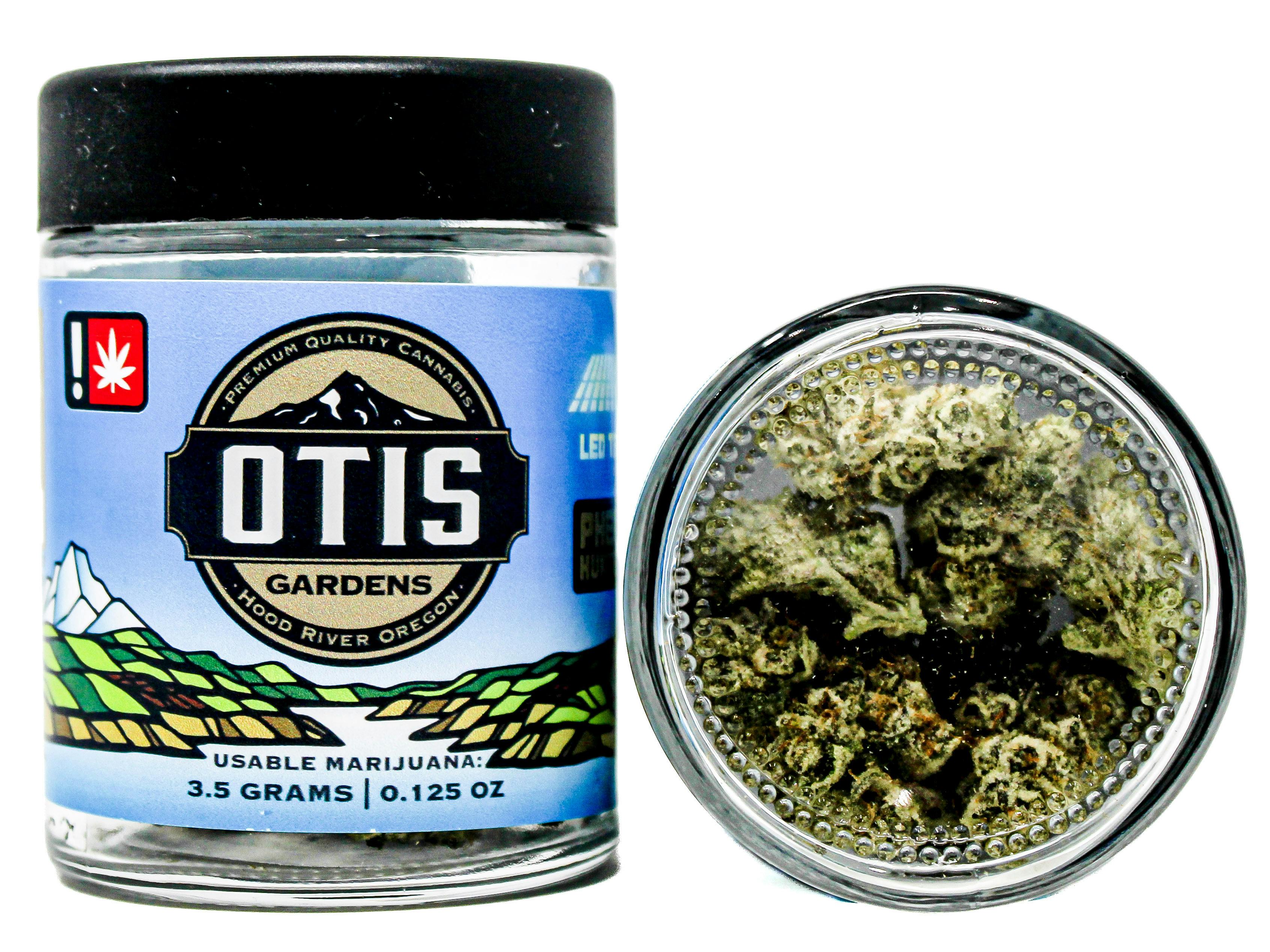 Ocean Air H | Big Buds | 3.5g