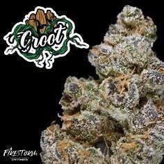 Groot | Big Buds | 3.5g