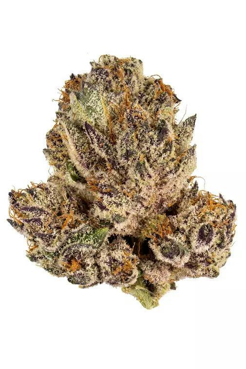 Blue Zushi | Big Buds | 1g